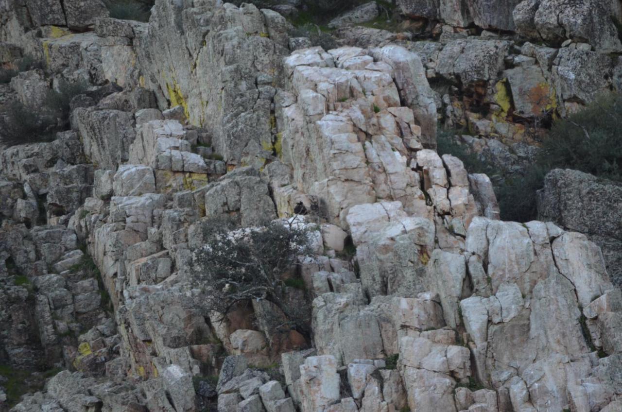 Alojamiento La Canada Monfrague Torrejón el Rubio Exterior foto